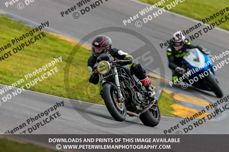 PJ Motorsport 2019;anglesey no limits trackday;anglesey photographs;anglesey trackday photographs;enduro digital images;event digital images;eventdigitalimages;no limits trackdays;peter wileman photography;racing digital images;trac mon;trackday digital images;trackday photos;ty croes